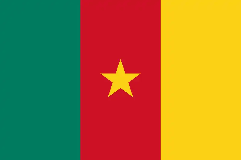 bendera kamerun piala dunia 2022