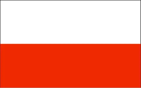 bendera polandia piala dunia 2022